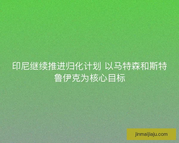 印尼继续推进归化计划 以马特森和斯特鲁伊克为核心目标